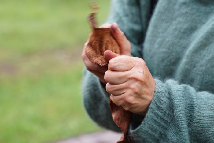 Hands softening a tanned fish skin