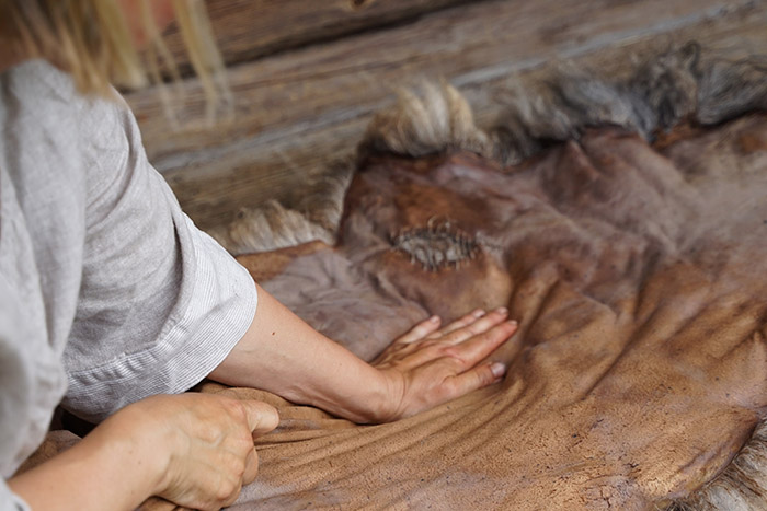 Hands working to soften a sheep hide as part of the tanning process