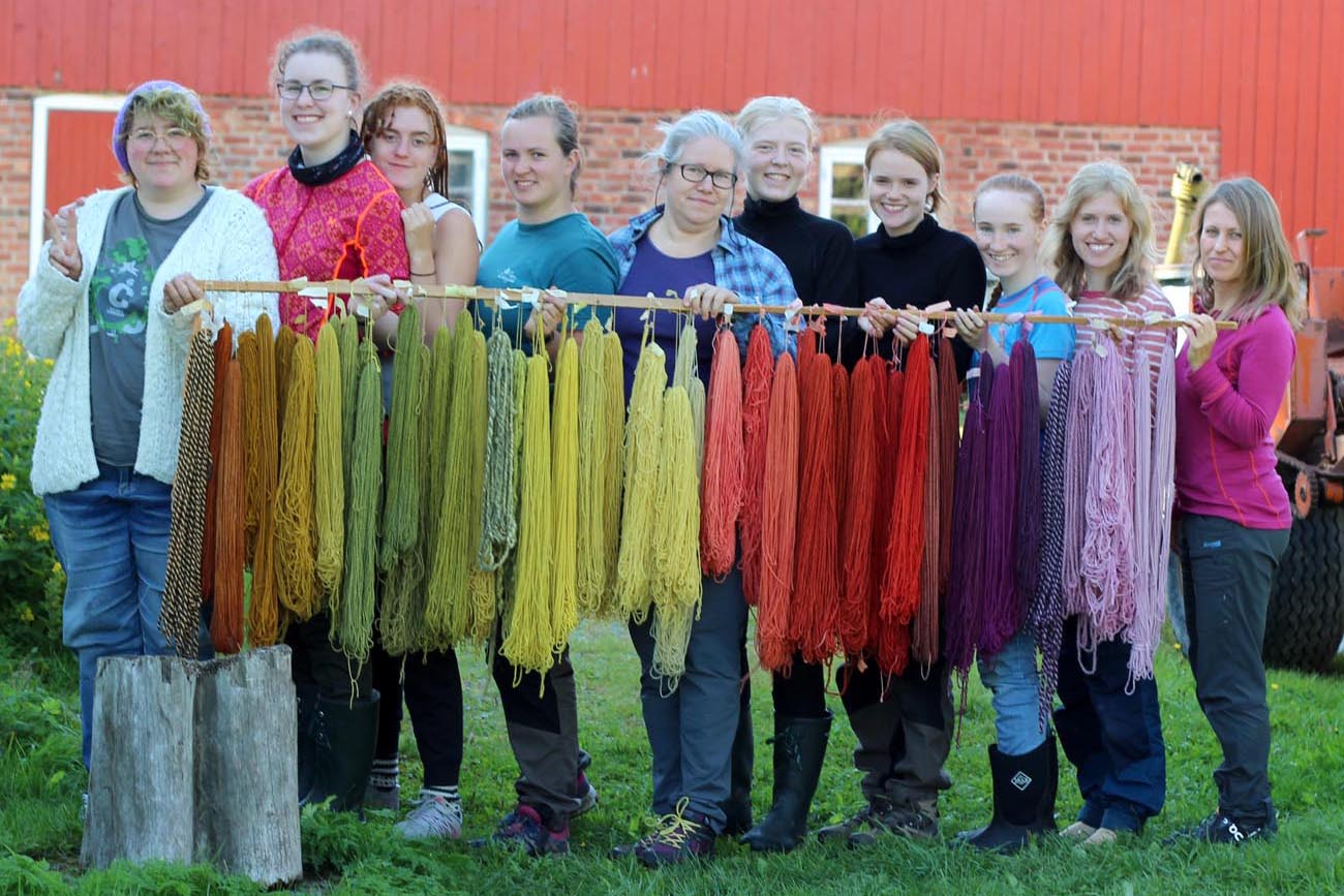 plantefarging-ull-natural-dye Klassebilde med plantefarget ull